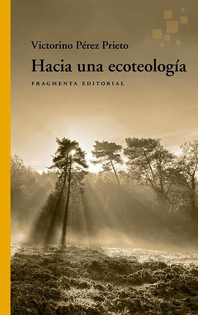 HACIA UNA ECOTEOLOGÍA | 9788417796815 | PÉREZ PRIETO, VICTORINO | Llibreria Online de Vilafranca del Penedès | Comprar llibres en català