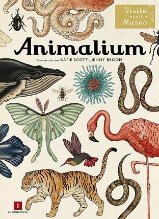 ANIMALIUM | 9788415979463 | SCOTT Y BROOM | Llibreria Online de Vilafranca del Penedès | Comprar llibres en català
