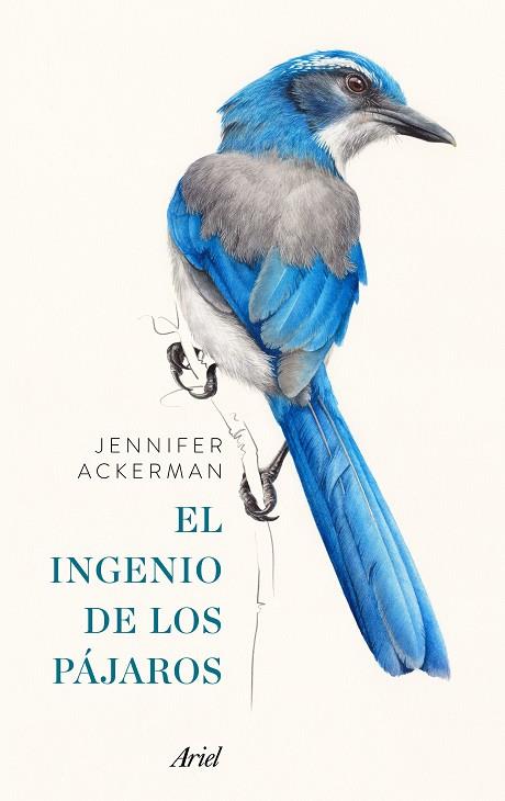 PACK EL INGENIO DE LOS PÁJAROS | 9788434427167 | ACKERMAN, JENNIFER | Llibreria Online de Vilafranca del Penedès | Comprar llibres en català