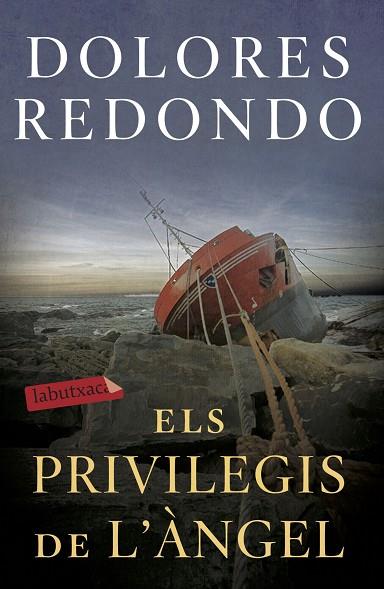 ELS PRIVILEGIS DE L'ÀNGEL | 9788417423971 | REDONDO, DOLORES | Llibreria Online de Vilafranca del Penedès | Comprar llibres en català