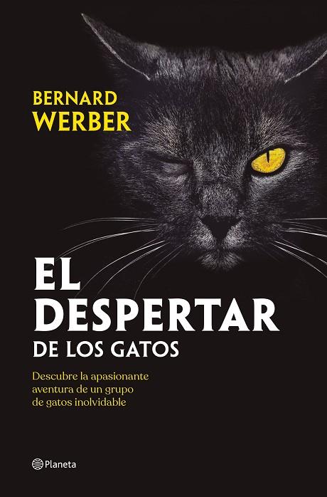 EL DESPERTAR DE LOS GATOS | 9788408251835 | WERBER, BERNARD | Llibreria Online de Vilafranca del Penedès | Comprar llibres en català
