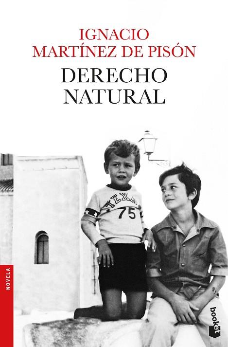 DERECHO NATURAL | 9788432234279 | MARTÍNEZ DE PISÓN, IGNACIO | Llibreria Online de Vilafranca del Penedès | Comprar llibres en català