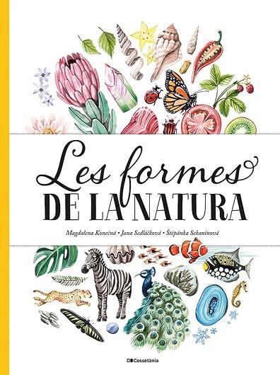 LES FORMES DE LA NATURA | 9788413560434 | SEDLACKOVA, JANA/SEKANINOVA, STEPANKA | Llibreria Online de Vilafranca del Penedès | Comprar llibres en català