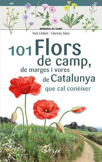 101 FLORS DE CAMP, DE MARGES I VORES DE CATALUNYA | 9788490348413 | LLOBET FRANÇOIS , TONI/SÀEZ GOÑALONS , LLORENÇ | Llibreria Online de Vilafranca del Penedès | Comprar llibres en català