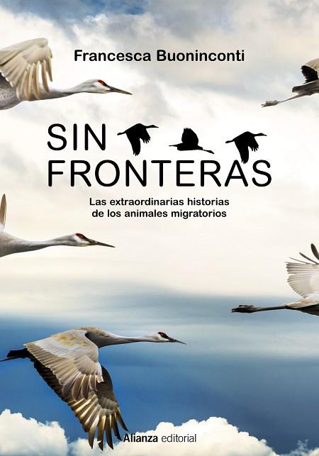 SIN FRONTERAS | 9788413625300 | BUONINCONTI, FRANCESCA | Llibreria Online de Vilafranca del Penedès | Comprar llibres en català