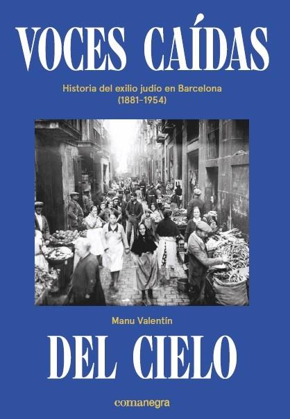 VOCES CAÍDAS DEL CIELO | 9788418022036 | VALENTÍN, MANU | Llibreria Online de Vilafranca del Penedès | Comprar llibres en català