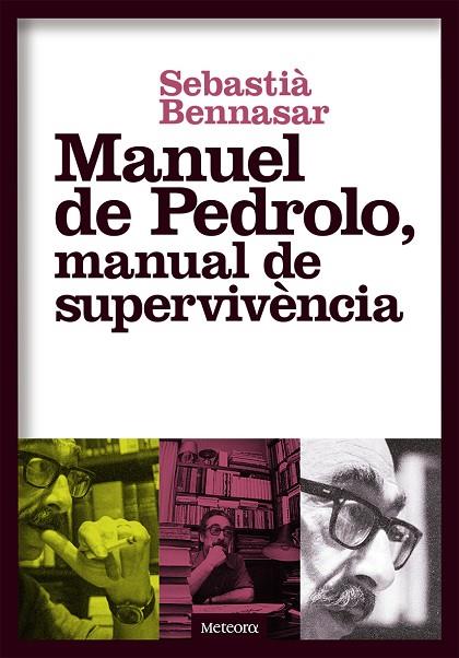 MANUEL DE PEDROLO MANUAL DE SUPERVIVÈNCIA | 9788494698248 | BENNASAR LLOBERA, SEBASTIÀ | Llibreria Online de Vilafranca del Penedès | Comprar llibres en català