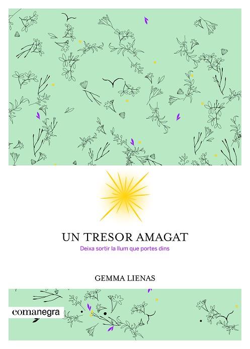 UN TRESOR AMAGAT | 9788416605347 | LIENAS MASSOT, GEMMA | Llibreria Online de Vilafranca del Penedès | Comprar llibres en català