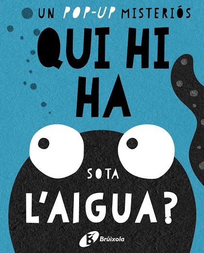 QUI HI HA SOTA L ' AIGUA ? | 9788499067667 | AA. VV. | Llibreria Online de Vilafranca del Penedès | Comprar llibres en català