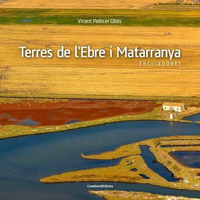 TERRES DE L'EBRE I MATARRANYA | 9788490345467 | PELLICER OLLÉS, VICENT | Llibreria Online de Vilafranca del Penedès | Comprar llibres en català