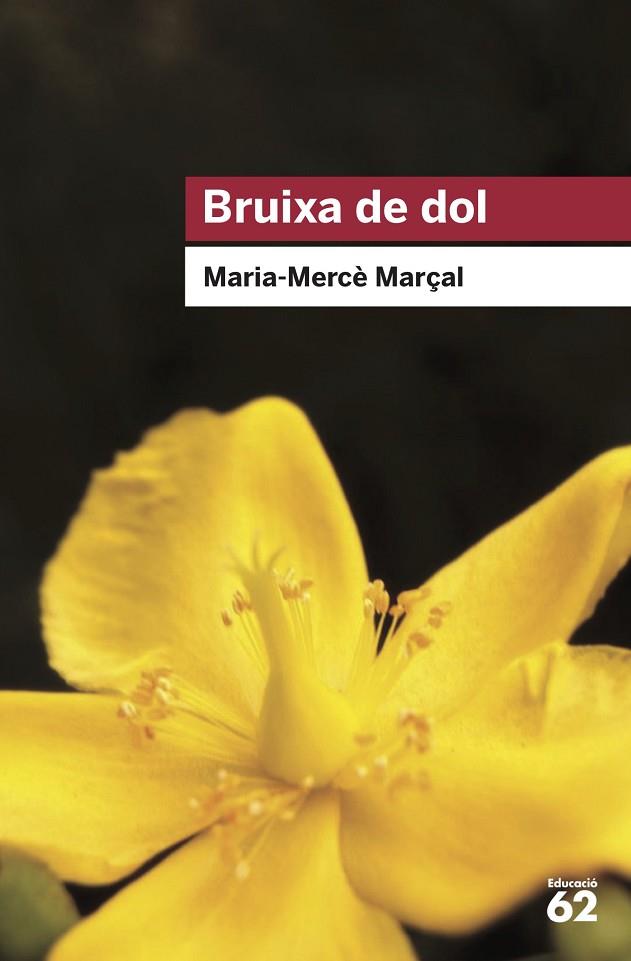 BRUIXA DE DOL (1977-1979) | 9788415954736 | MARÇAL SERRA, M. MERCÈ | Llibreria Online de Vilafranca del Penedès | Comprar llibres en català