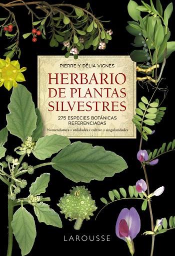 HERBARIO DE PLANTAS SILVESTRES | 9788418473999 | VIGNES, PIERRE/VIGNES, DÉLIA | Llibreria Online de Vilafranca del Penedès | Comprar llibres en català