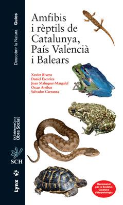 AMFIBIS I REPTILS DE CATALUNYA PAIS VALENCIA I BALEARS | 9788496553538 | AA.VV | Llibreria Online de Vilafranca del Penedès | Comprar llibres en català