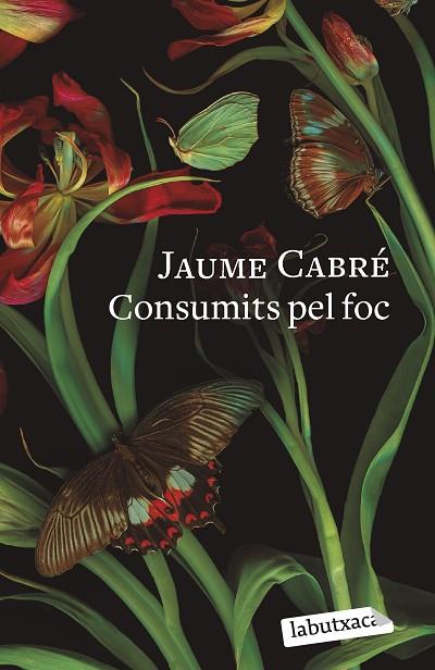 CONSUMITS PEL FOC | 9788419107206 | CABRÉ, JAUME | Llibreria Online de Vilafranca del Penedès | Comprar llibres en català