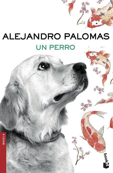 UN PERRO | 9788423351862 | PALOMAS, ALEJANDRO  | Llibreria Online de Vilafranca del Penedès | Comprar llibres en català