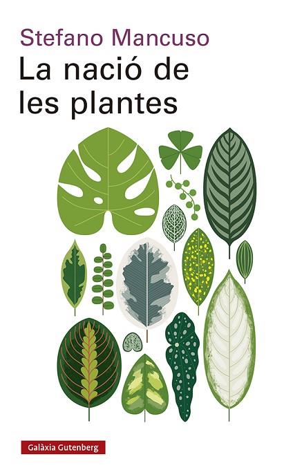 LA NACIÓ DE LES PLANTES | 9788417971564 | MANCUSO, STEFANO | Llibreria Online de Vilafranca del Penedès | Comprar llibres en català