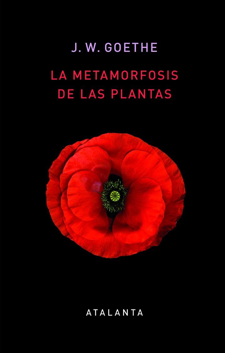 LA METAMORFOSIS DE LAS PLANTAS | 9788412074345 | GOETHE, JOHANN WOLFGANG | Llibreria L'Odissea - Libreria Online de Vilafranca del Penedès - Comprar libros