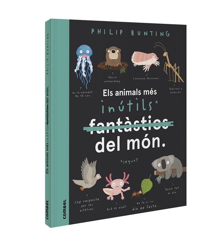ELS ANIMALS MÉS INÚTILS DEL MÓN | 9788491018094 | BUNTING, PHILIP | Llibreria Online de Vilafranca del Penedès | Comprar llibres en català