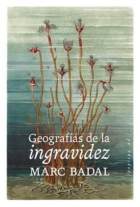GEOGRAFÍAS DE LA INGRAVIDEZ | 9788418998669 | BADAL PIJOAN, MARC | Llibreria Online de Vilafranca del Penedès | Comprar llibres en català