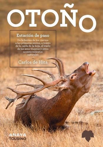 OTOÑO ESTACION DE PASO | 9788491586685 | HITA MORENO, CARLOS DE | Llibreria Online de Vilafranca del Penedès | Comprar llibres en català