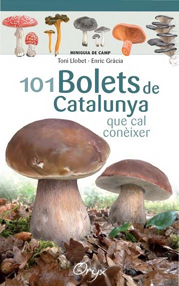 101 BOLETS DE CATALUNYA | 9788490347096 | LLOBET FRANÇOIS, TONI / GRÀCIA, ENRIC | Llibreria Online de Vilafranca del Penedès | Comprar llibres en català