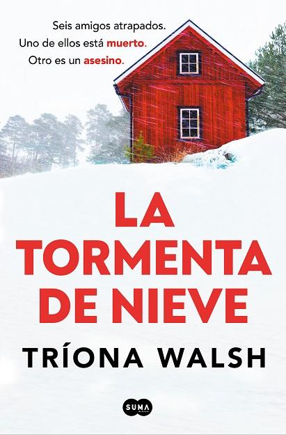 TORMENTA DE NIEVE | 9788491299028 | WALSH, TRÍONA | Llibreria Online de Vilafranca del Penedès | Comprar llibres en català