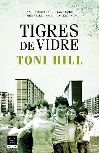 TIGRES DE VIDRE | 9788417444747 | HILL, TONI | Llibreria Online de Vilafranca del Penedès | Comprar llibres en català