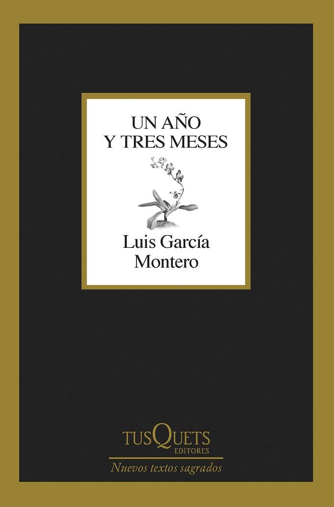 UN AÑO Y TRES MESES | 9788411071475 | GARCÍA MONTERO, LUIS | Llibreria Online de Vilafranca del Penedès | Comprar llibres en català