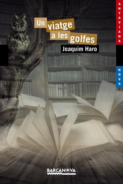 UN VIATGE A LES GOLFES | 9788448938598 | HARO, JOAQUIM | Llibreria Online de Vilafranca del Penedès | Comprar llibres en català