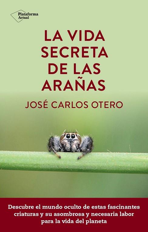 LA VIDA SECRETA DE LAS ARAÑAS | 9788419655189 | OTERO, JOSÉ CARLOS | Llibreria Online de Vilafranca del Penedès | Comprar llibres en català