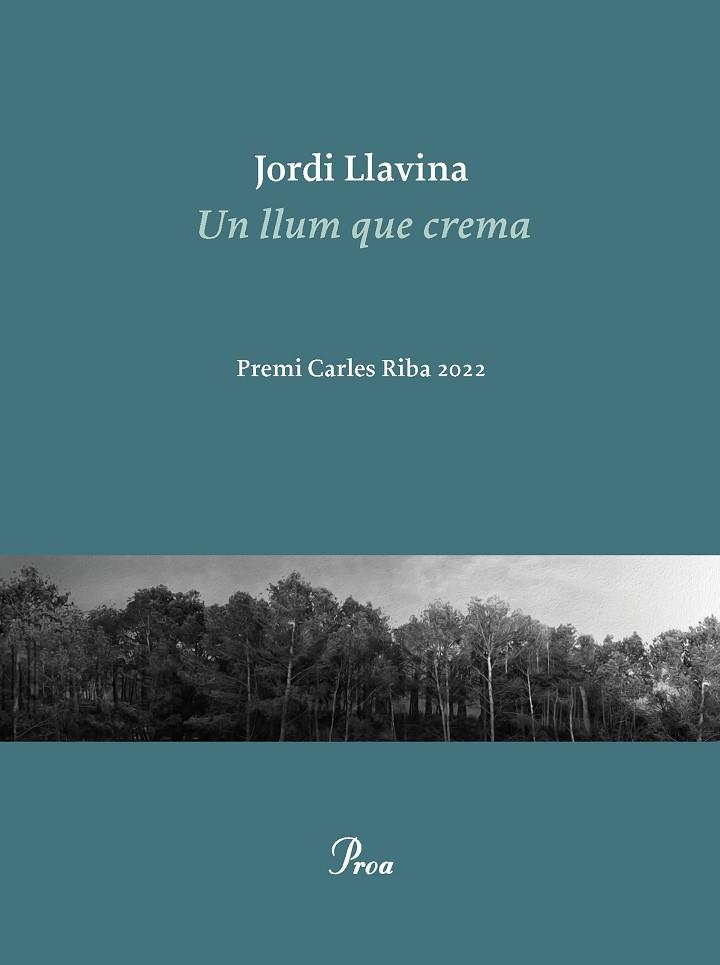 UN LLUM QUE CREMA | 9788475889979 | LLAVINA, JORDI | Llibreria Online de Vilafranca del Penedès | Comprar llibres en català