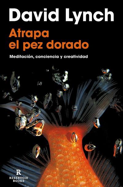 ATRAPA EL PEZ DORADO | 9788418897436 | LYNCH, DAVID | Llibreria Online de Vilafranca del Penedès | Comprar llibres en català