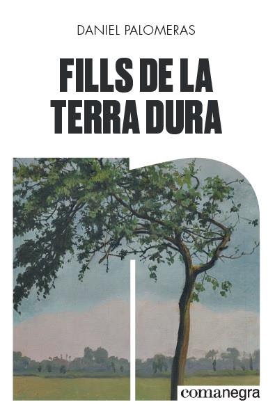 FILLS DE LA TERRA DURA | 9788418022296 | PALOMERAS CASADEJÚS, DANIEL | Llibreria L'Odissea - Libreria Online de Vilafranca del Penedès - Comprar libros