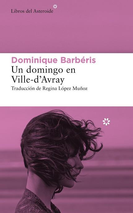 UN DOMINGO EN VILLE-D’AVRAY | 9788417977634 | BARBÉRIS, DOMINIQUE | Llibreria Online de Vilafranca del Penedès | Comprar llibres en català