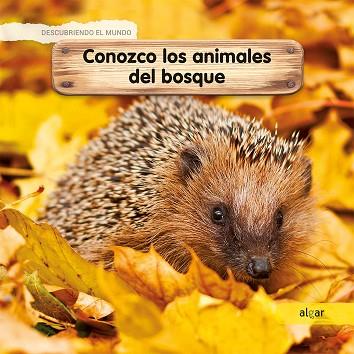CONOZCO LOS ANIMALES DEL BOSQUE | 9788491422938 | LAMOUR-CROCHET, CÉLINE | Llibreria Online de Vilafranca del Penedès | Comprar llibres en català