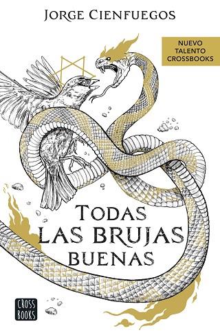 TODAS LAS BRUJAS BUENAS | 9788408260066 | CIENFUEGOS, JORGE | Llibreria Online de Vilafranca del Penedès | Comprar llibres en català