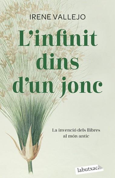 L'INFINIT DINS D'UN JONC | 9788419107121 | VALLEJO, IRENE | Llibreria Online de Vilafranca del Penedès | Comprar llibres en català