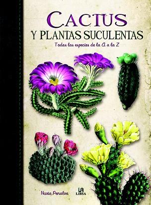 CACTUS Y PLANTAS SUCULENTAS | 9788466226325 | PENALVA, NURIA/EQUIPO EDITORIAL | Llibreria Online de Vilafranca del Penedès | Comprar llibres en català