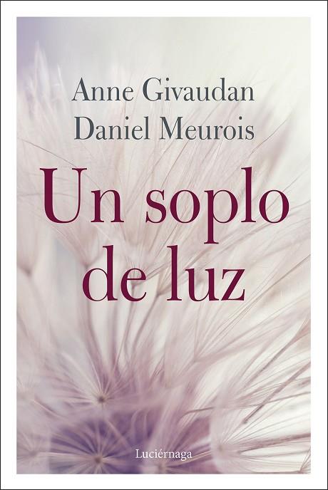 UN SOPLO DE LUZ | 9788412050608 | GIVAUDAN, ANNE/MEUROIS, DANIEL | Llibreria Online de Vilafranca del Penedès | Comprar llibres en català