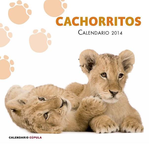 CALENDARIO CACHORRITOS 2014 | 9788448011741 | AA. VV. | Llibreria Online de Vilafranca del Penedès | Comprar llibres en català