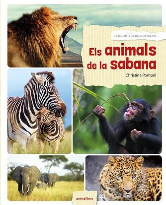 ELS ANIMALS DE LA SABANA | 9788416844524 | POMPÉÏ, CHRISTINE | Llibreria Online de Vilafranca del Penedès | Comprar llibres en català