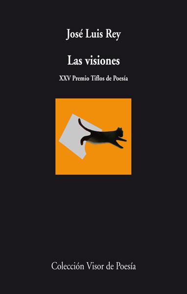 LAS VISIONES | 9788498958164 | REY, JOSE LUIS | Llibreria Online de Vilafranca del Penedès | Comprar llibres en català