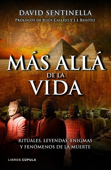 MAS ALLA DE LA VIDA | 9788448069049 | SENTINELLA, DAVID | Llibreria Online de Vilafranca del Penedès | Comprar llibres en català
