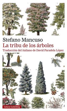 LA TRIBU DE LOS ARBOLES | 9788419392510 | MANCUSO, STEFANO | Llibreria Online de Vilafranca del Penedès | Comprar llibres en català