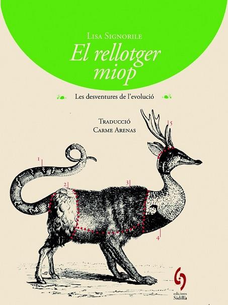 EL RELLOTGER MIOP | 9788494256424 | SIGNORILE, LISA | Llibreria Online de Vilafranca del Penedès | Comprar llibres en català