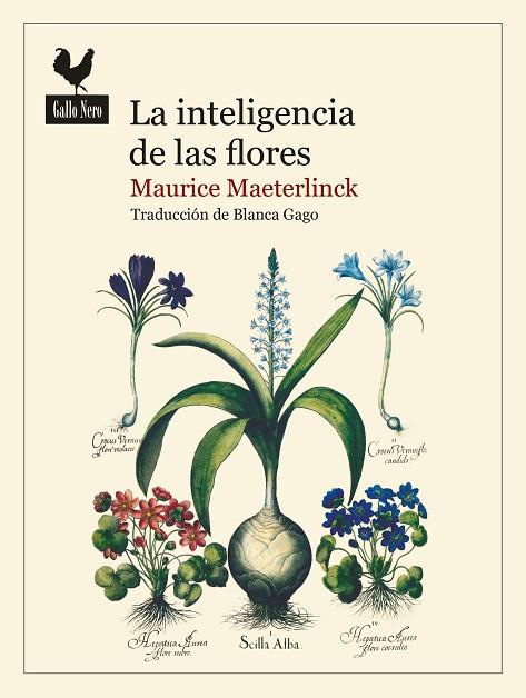 LA INTELIGENCIA DE LAS FLORES | 9788419168016 | MAETERLINCK, MAURICE | Llibreria Online de Vilafranca del Penedès | Comprar llibres en català