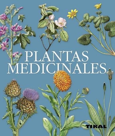 PLANTAS MEDICINALES | 9788499280103 | AA.VV. | Llibreria L'Odissea - Libreria Online de Vilafranca del Penedès - Comprar libros
