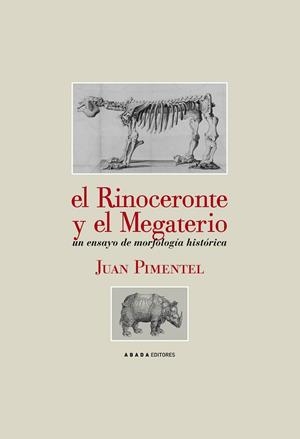 EL RINOCERONTE Y EL MEGATERIO | 9788496775671 | PIMENTEL, JUAN | Llibreria L'Odissea - Libreria Online de Vilafranca del Penedès - Comprar libros
