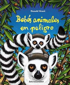 BEBES ANIMALES EN PELIGRO | 9788426137791 | DONALD GRANT | Llibreria L'Odissea - Libreria Online de Vilafranca del Penedès - Comprar libros