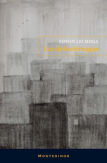 LUZ DE LUCIERNAGAS | 9788492616602 | LECHUGA, EDSON | Llibreria L'Odissea - Libreria Online de Vilafranca del Penedès - Comprar libros
